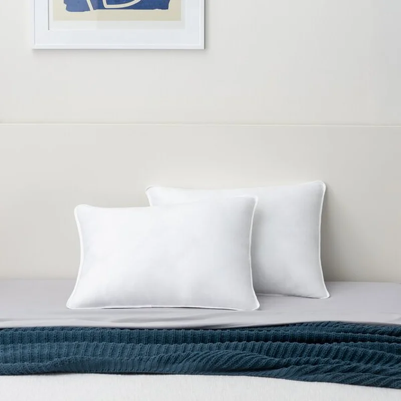 30'' W Queen Polyester/Polyfill Medium Support Pillow (Set of 2)