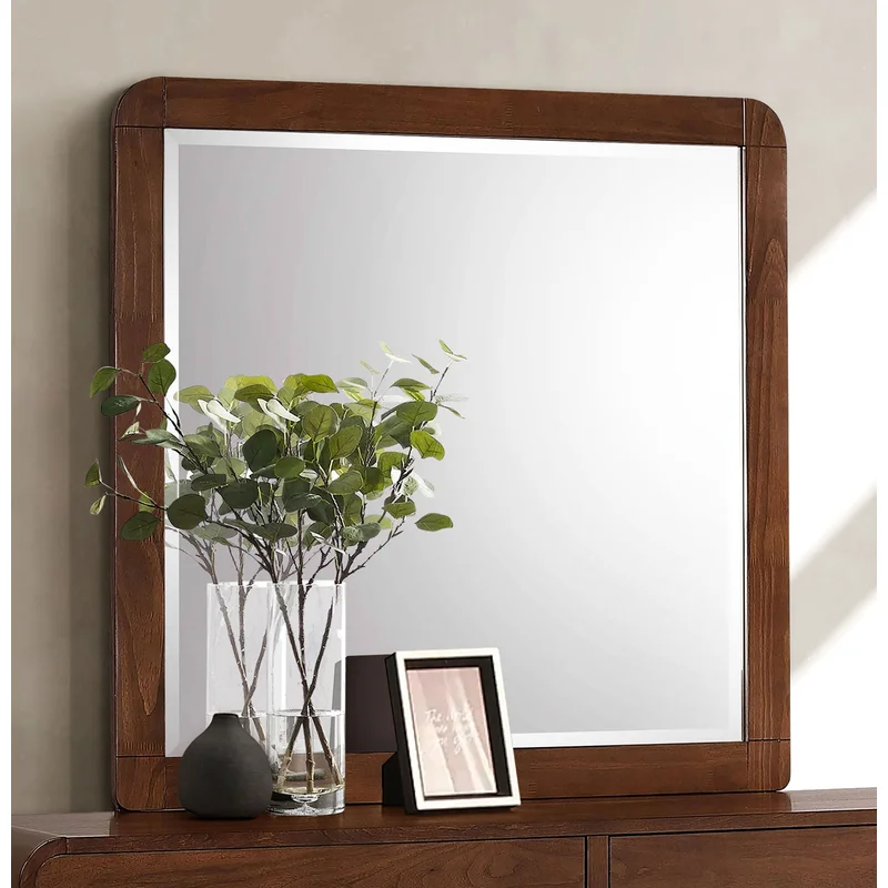 Robyn Dresser Mirror